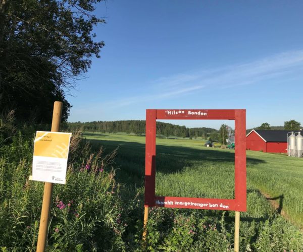 Flott utsyn over frodige åkre i Sandar