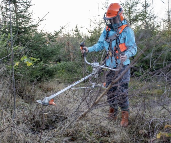 Elever pleier ungskogen på Melsom