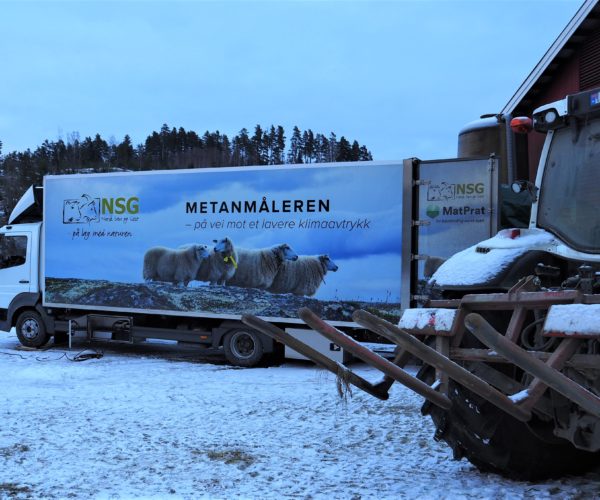 Lastebilen er stilig dekorert og gjør seg synlig på veien. 