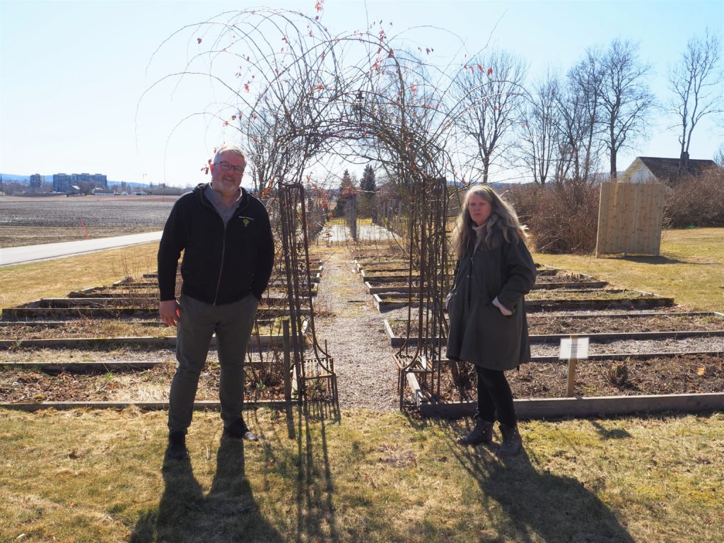 Urtehagen på Århus gård er ikke en del av andelslandbruket, men er en viktig informasjonsbærer med mange gamle kulturplanter. Her er det fri barneoppdragelse! sa Ellen. fv. Aslak Snarteland og Ellen Dagsrud.