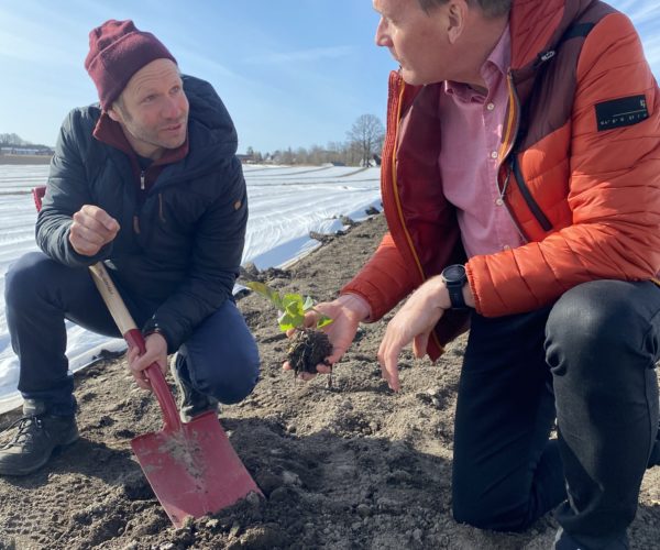 Åsmund gir Kårstein oppskriften på å dyrke salat