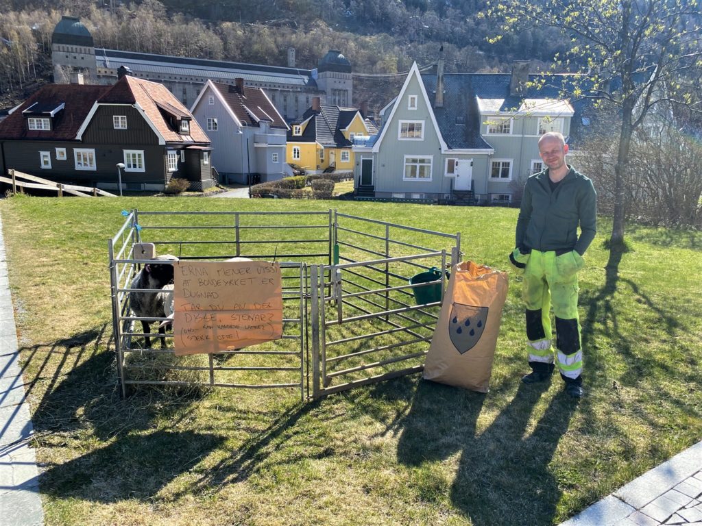 Ragnar og Løskrutt var med på leken, men var nok glad for å bli med bonden Hans T. Ørnes hjem. Teksten på plakaten: Erna mener visst at bondeyrket er dugnad. Tar du av deg disse, Steinar?