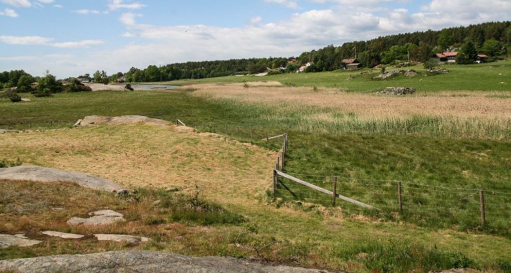 Kaupang Foto: hentet fra Vestfold og Telemark Fylkeskommune