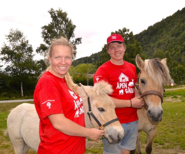 Ragnhild og Lars Mangelrød hadde tatt med de flotte fjordingene sine.  Foto Olav Nordheim