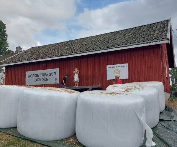 Alt klart for hopping i høyet på Brår i Ramnes