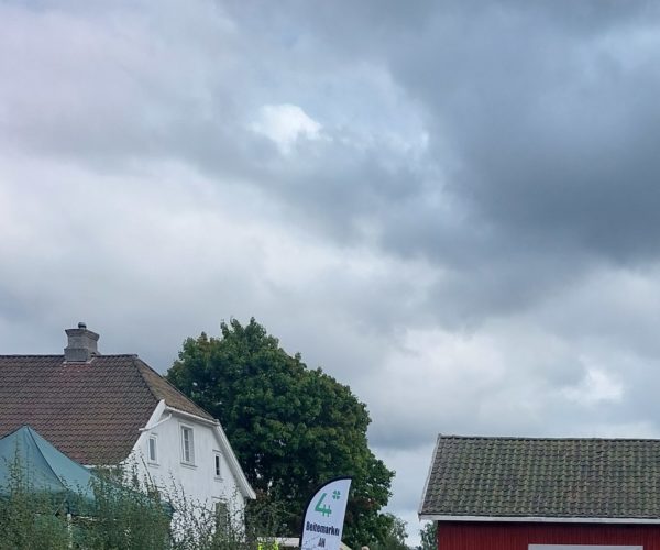 Til Brår Bygdetun i Ramnes kom det over 2000 besøkende lørdag og søndag