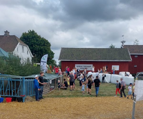 Til Brår Bygdetun i Ramnes kom det over 2000 besøkende lørdag og søndag