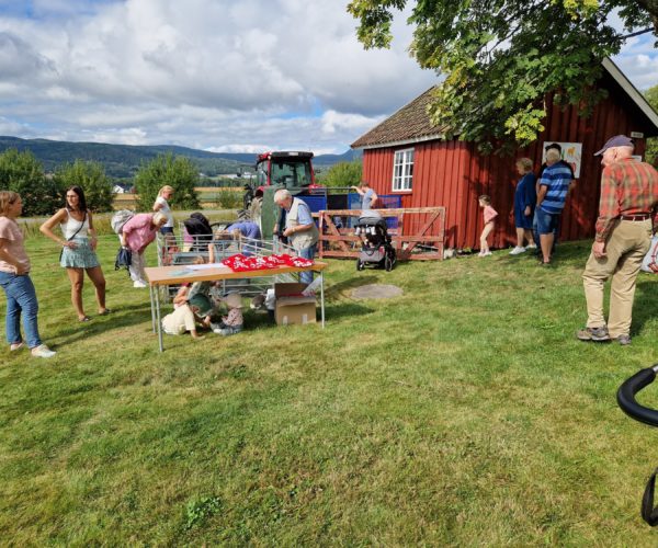 Aktiviteter for store og små på Sande Prestegård