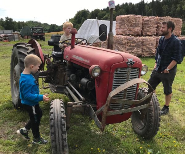 Gammel traktor og unge karer