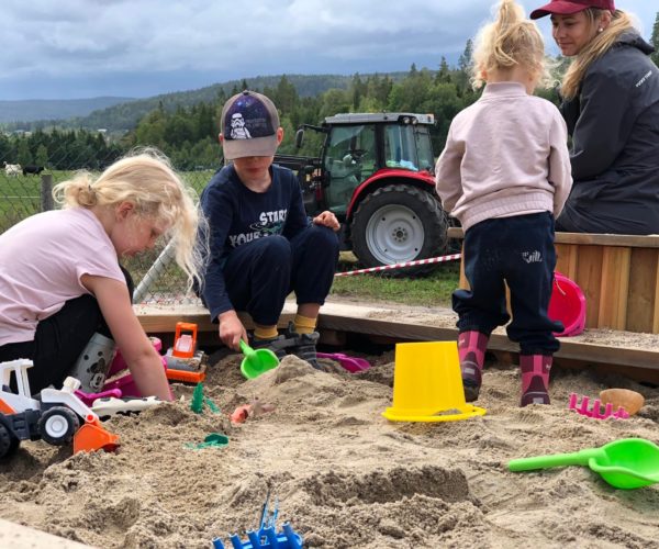 På Findal Gård kunne man kose seg med traktorer både med og uten motor