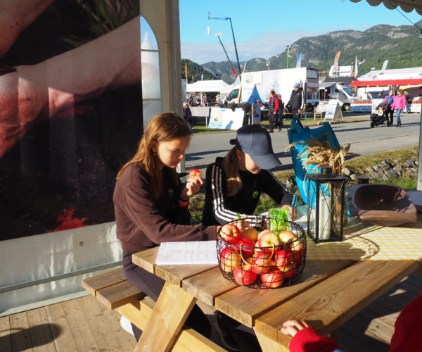 Søndag var det sol på Dyrskuplassen og disse jentene tok en rast med telemarksepler og bondelagets quiz. 