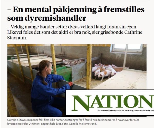 Skjermdropp fra Nationen