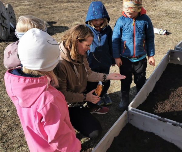 Bø Bondelag bidrar til kunnskap om frø, jord og spiselige planter hver vår ved å sponse barnehagene med frø og jord.