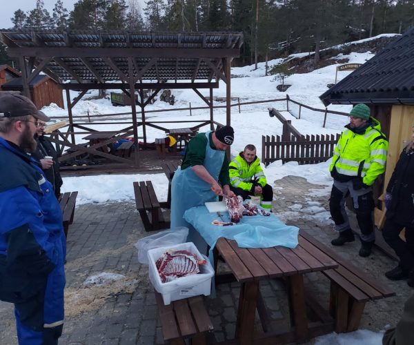 Et nyttig kurs for alle som ønsker å slakte selv. 