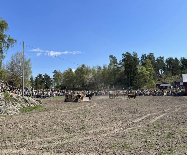 Lang lang rekke med skuelystne i Bamble. 