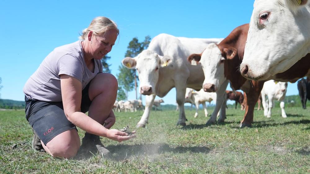 Inger Synøve Johnsen er nestleder i Vestfold Bondelag og driver selv med både storfe og svin