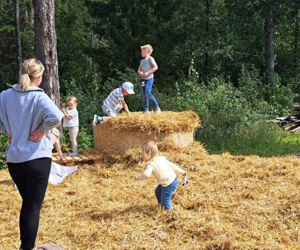 Hopping i høyet er alltid spennende