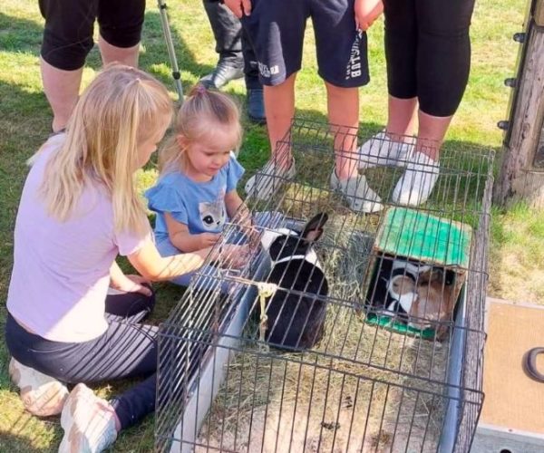 ..så kaninene fikk mye oppmerksomhet