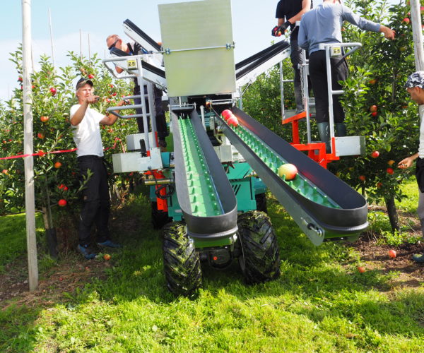 Halvautomatisk høstemaskin gjør plukkingen av epler enklere.