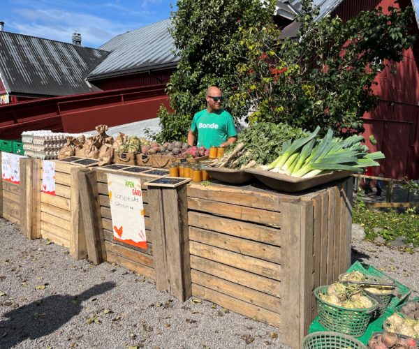 Salg av kortreiste grønnsaker fra Loftseik Gård