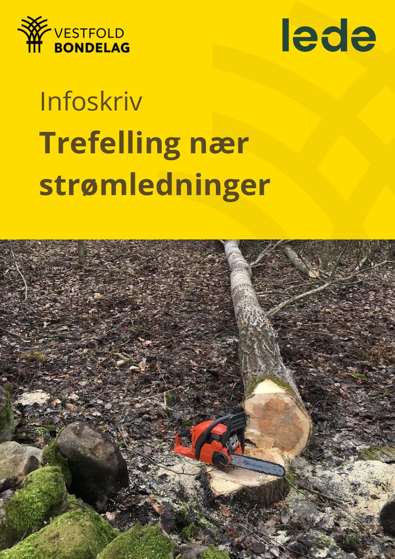 Last ned infobroysjyre om trefelling nær strømledninger her
