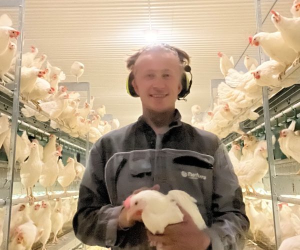 Ole Erik Holtung, 23 år. Bonde og snekker. Foreldrene eier fortsatt gården i Våle, men han har investert i nytt hønsehus hvor 7500 høner nå har begynt å legge sine første egg!